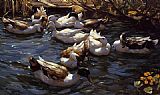 Ducks in the Reeds under the Boughs by Alexander Koester